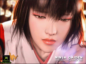 Ninja Gaiden [incl. Guidebook]