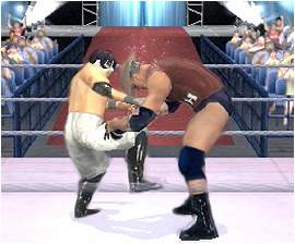 Online Pro Wrestling: The Champion of the Network image 5