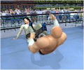 Online Pro Wrestling: The Champion of the Network thumbnail 6