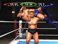 King of Colosseum II thumbnail 7