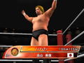 King of Colosseum II thumbnail 26