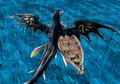 Genso Suikoden IV thumbnail 9