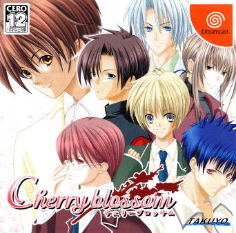 Cherry Blossom image 1