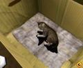 US Shenmue thumbnail 4
