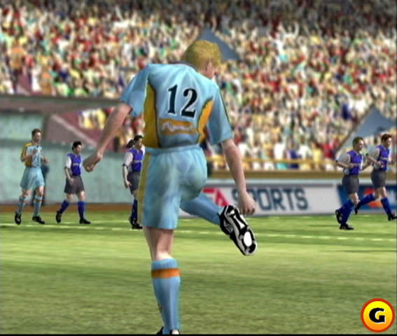 FIFA 2002: Road to FIFA World Cup for GameCube