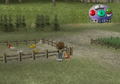 Harvest Moon: A Wonderful Life for Girls thumbnail 3