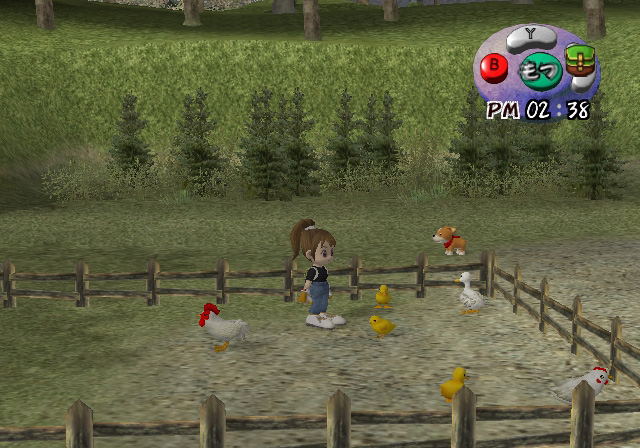 Harvest Moon: A Wonderful Life for Girls image 5