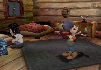 Harvest Moon: A Wonderful Life for Girls image 7