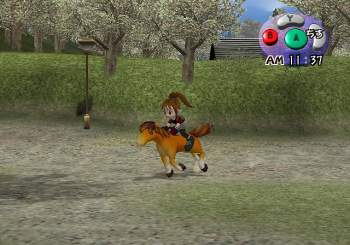 Harvest Moon: A Wonderful Life for Girls image 8