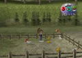 Harvest Moon: A Wonderful Life for Girls thumbnail 9