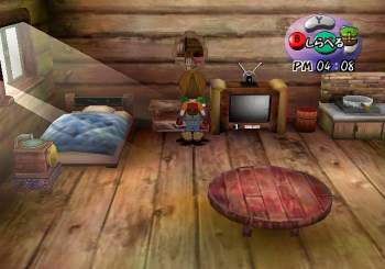 Harvest Moon: A Wonderful Life for Girls image 15