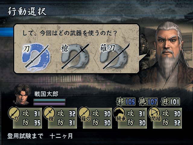 Sengoku Musou image 16