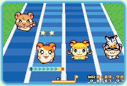 Tottoko Hamtaro: Ham Ham Sports image 2