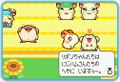 Tottoko Hamtaro: Ham Ham Sports thumbnail 6