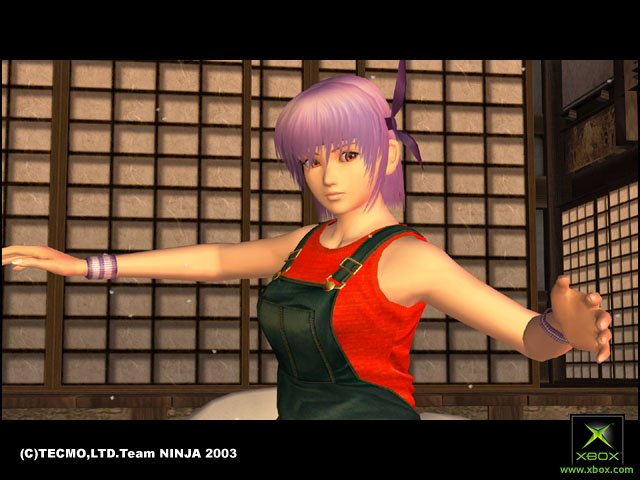 Dead or Alive Ultimate image 8