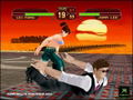 Dead or Alive Ultimate thumbnail 9