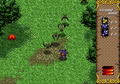 Twinkle Tale thumbnail 3