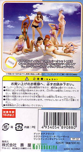 Dead or Alive Xtreme Beach Volleyball One Coin Figure Series image 3
