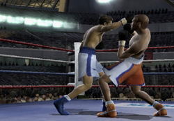 Fight Night 2004 image 3