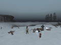 Final Fantasy XI All-In-One Pack 2004 thumbnail 22