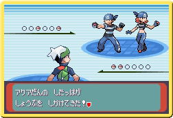 Pokémon Emerald Version Screenshot 4