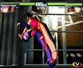 Dead or Alive 2 [Regular Edition] thumbnail 9