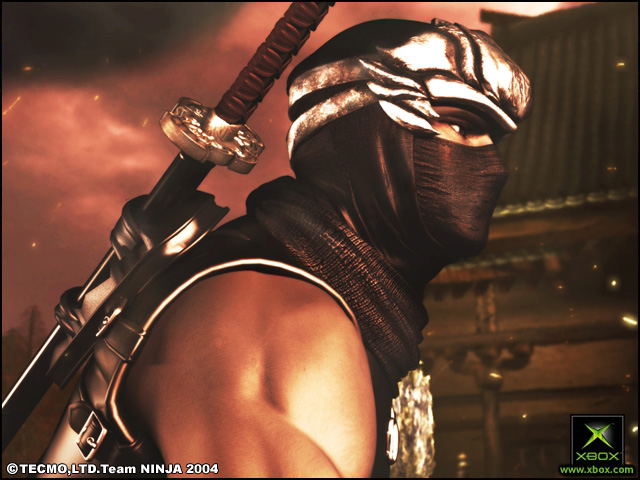 Ninja Gaiden image 2
