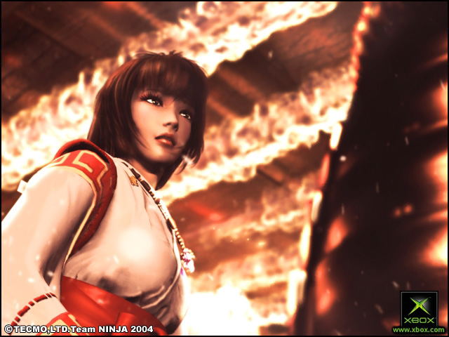 Ninja Gaiden image 3
