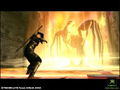 Ninja Gaiden thumbnail 9
