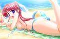 Tsuki wa Higashi ni Ha wa Nishi na: Operation Sanctuary thumbnail 5