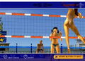 Summer Heat Beach Volleyball thumbnail 4