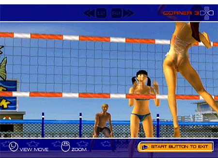 Summer Heat Beach Volleyball image 4