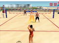 Summer Heat Beach Volleyball thumbnail 5