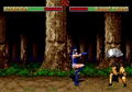 Mortal Kombat II thumbnail 11