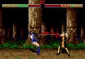 Mortal Kombat II thumbnail 12