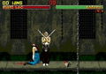 Mortal Kombat II thumbnail 15