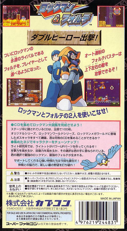 RockMan & Forte image 2