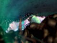 Crimson Sea 2 thumbnail 16