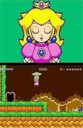 Super Princess Peach thumbnail 4