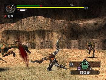 Monster Hunter G image 12