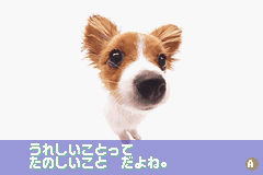 Poke Inu - Poket Dogs for Game Boy Advance - Bitcoin & Lightning 