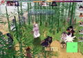 War of Chunrang [Special Limited Edition] thumbnail 2
