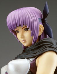 Ninja Gaiden Ayane - 1/6 Scale Pre-Painted Figure