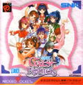 Gals Fighters thumbnail 1