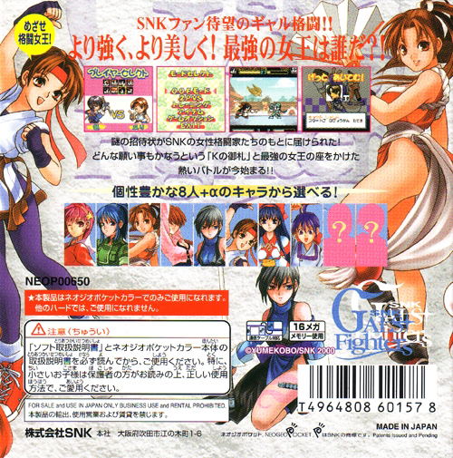 Gals Fighters image 2