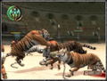 Gladiator: Road to Freedom thumbnail 6