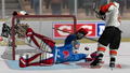 Gretzky NHL thumbnail 2