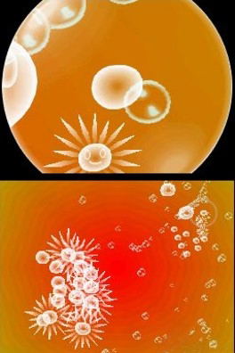 Electroplankton (w/ Headphone) image 9