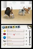 Nintendogs - Chihuahua & Friends thumbnail 2