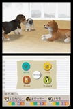 Nintendogs - Chihuahua & Friends thumbnail 3